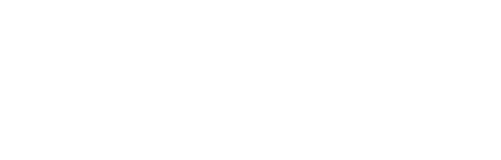 PMS CSS